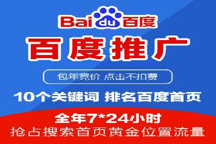 百度竞价广告投放全解析：成功案例揭秘